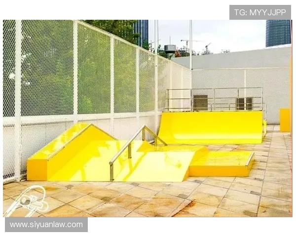 杭州极限运动队荣登全国极限运动意识排行榜第三名的辉煌成就