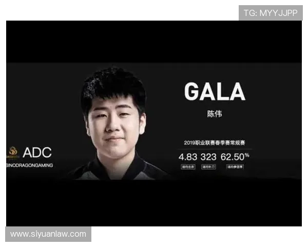 对话陈伟：回顾王者荣耀职业生涯的辉煌与挑战